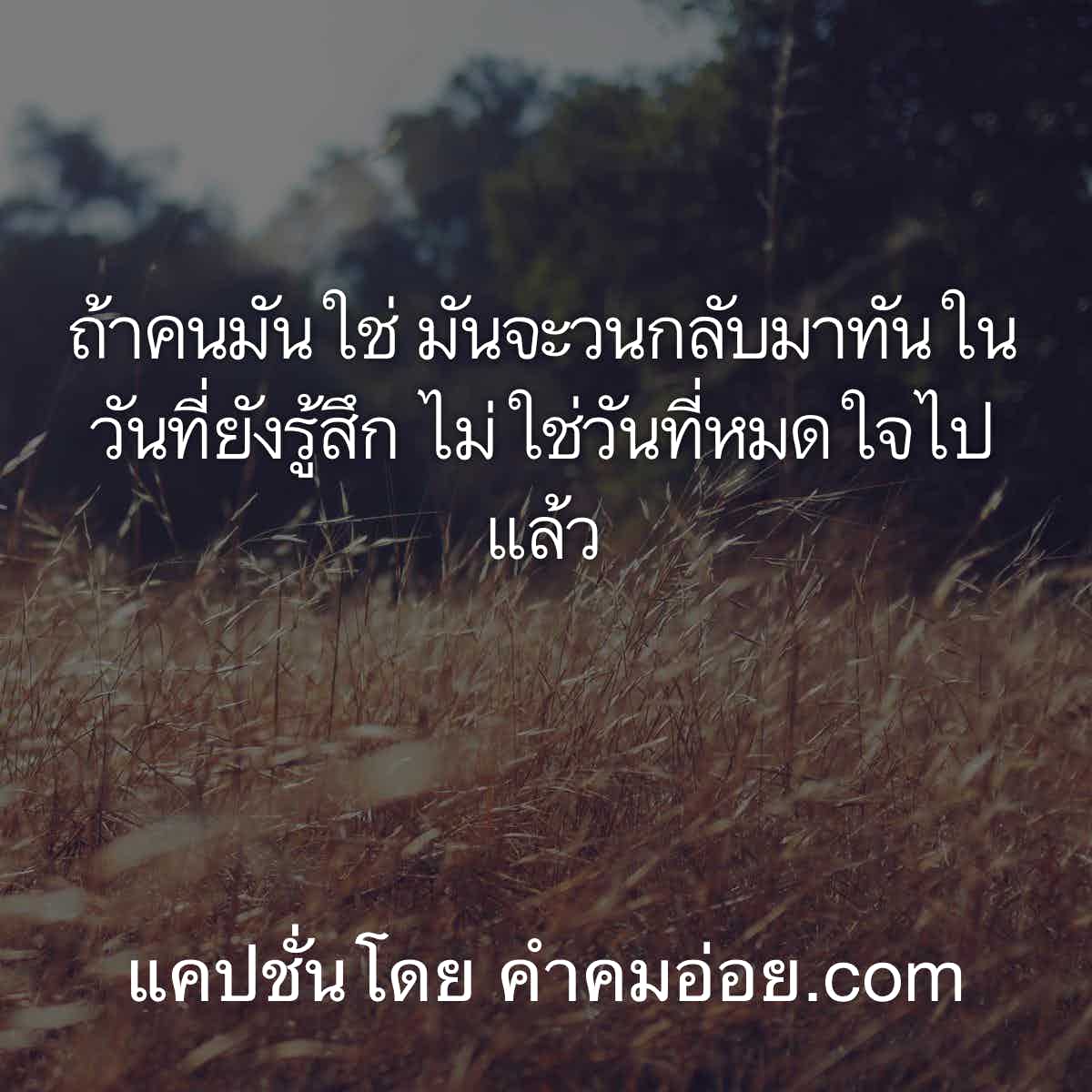 94 มุกจีบรุ่นพี่ คําคมโดนเท